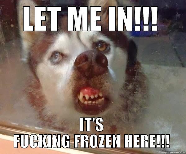 LET ME IN!!! IT'S FUCKING FROZEN HERE!!! Misc