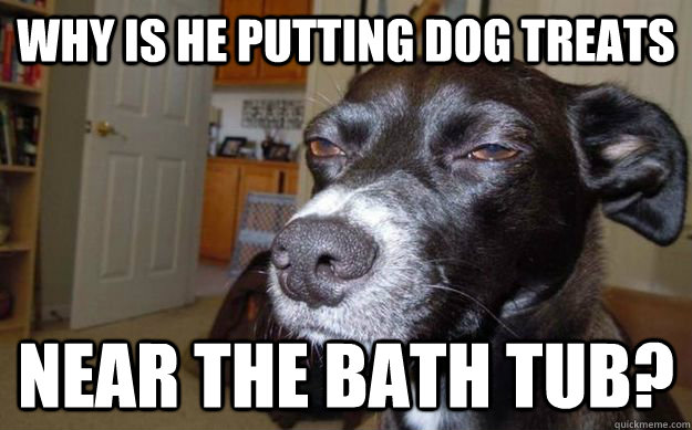 Why is he putting dog treats near the bath tub?  