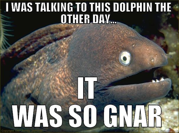 I WAS TALKING TO THIS DOLPHIN THE OTHER DAY... IT WAS SO GNAR Bad Joke Eel