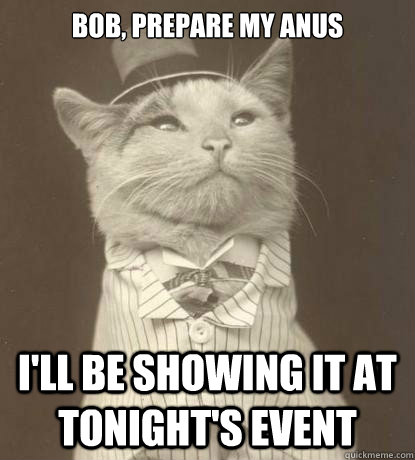 Bob, prepare my anus I'll be showing it at tonight's event  Aristocat