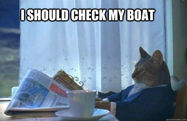 I should check my boat  Sophisticated Cat