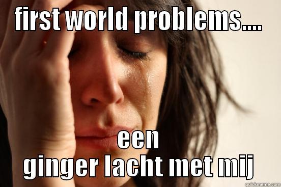 een ginger making fun of me - FIRST WORLD PROBLEMS.... EEN GINGER LACHT MET MIJ First World Problems