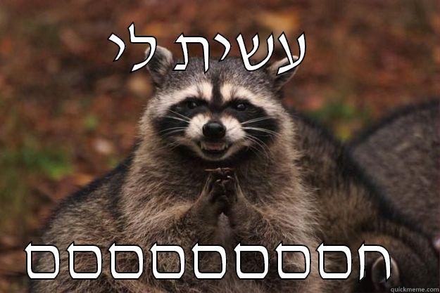 עשית לי  חםםםםםםםם  Evil Plotting Raccoon