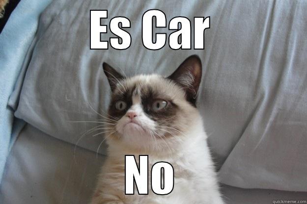 ES CAR NO Grumpy Cat