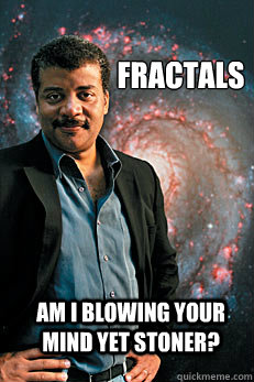 fractals am i blowing your mind yet stoner?  Neil deGrasse Tyson