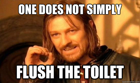 One Does Not Simply Flush the toilet  Boromir