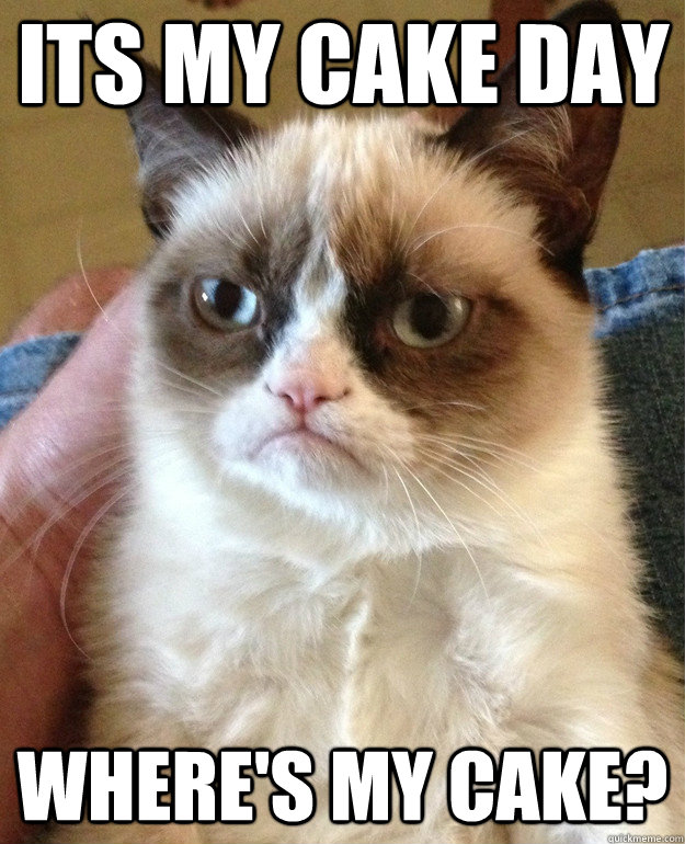 Its my cake day Where's my cake?  Grumpy Cat