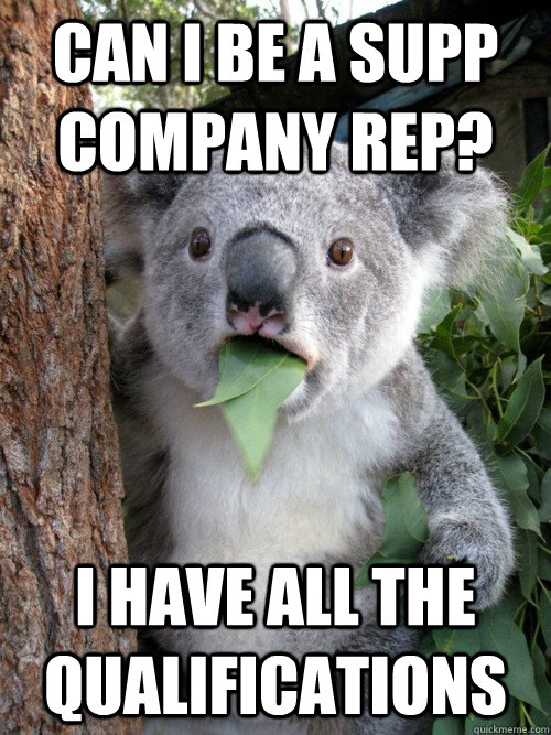 Can I Be a supp company rep? i have all the qualifications  koala bear