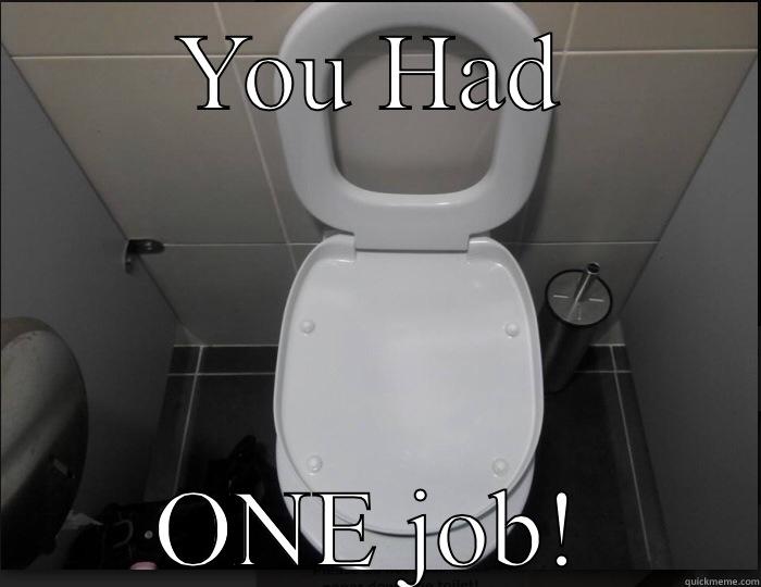 Toilet fail - YOU HAD ONE JOB! Success Kid