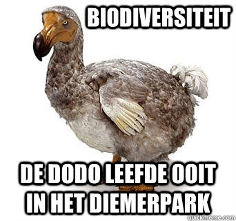 biodiversiteit de dodo leefde ooit in het diemerpark - biodiversiteit de dodo leefde ooit in het diemerpark  Enviromentally oblivious dodo