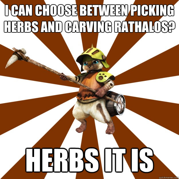 I can choose between picking herbs and carving rathalos? Herbs it is - I can choose between picking herbs and carving rathalos? Herbs it is  Felyne comrade