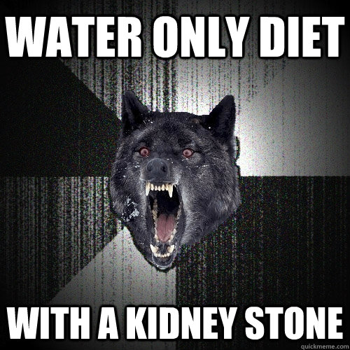 Water only diet With a kidney stone  Insanity Wolf