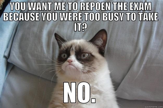 YOU WANT ME TO REPOEN THE EXAM BECAUSE YOU WERE TOO BUSY TO TAKE IT? NO. Grumpy Cat