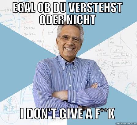 EGAL OB DU VERSTEHST ODER NICHT          I DON'T GIVE A F**K         Engineering Professor