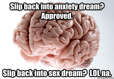 Slip back into anxiety dream? Approved. Slip back into sex dream?  LOL na.  Caption 4 goes here  Scumbag Brain