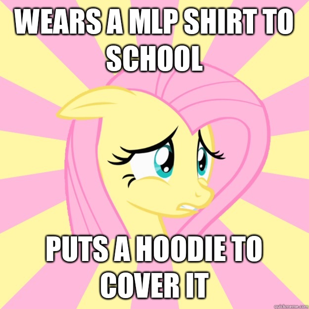 Wears a mlp shirt to school Puts a hoodie to cover it  Socially awkward brony