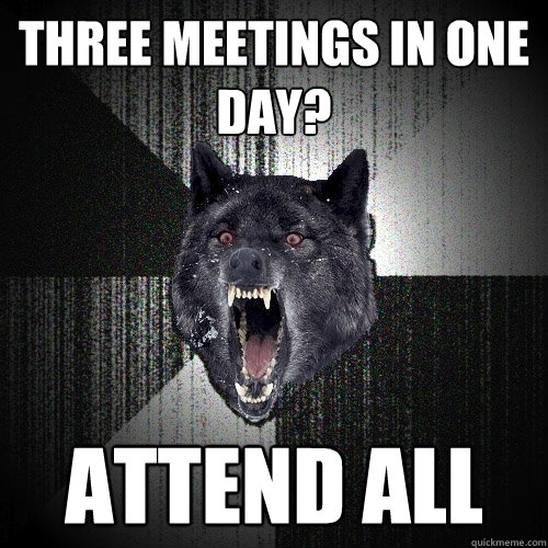 Three meetings in one day? attend all  Insanity Wolf