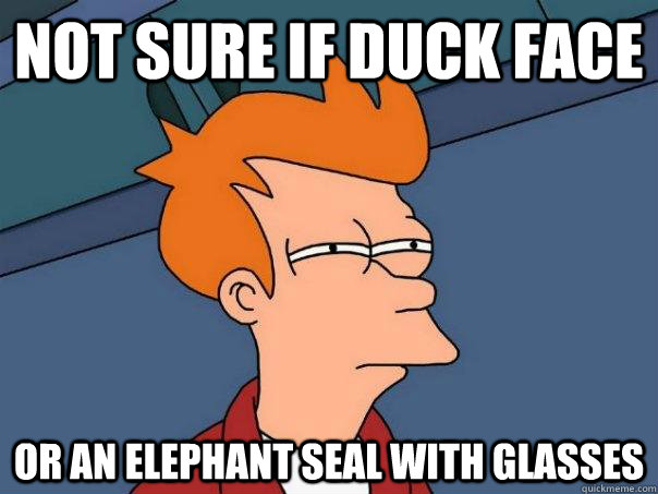 Not sure if duck face or an elephant seal with glasses  Futurama Fry