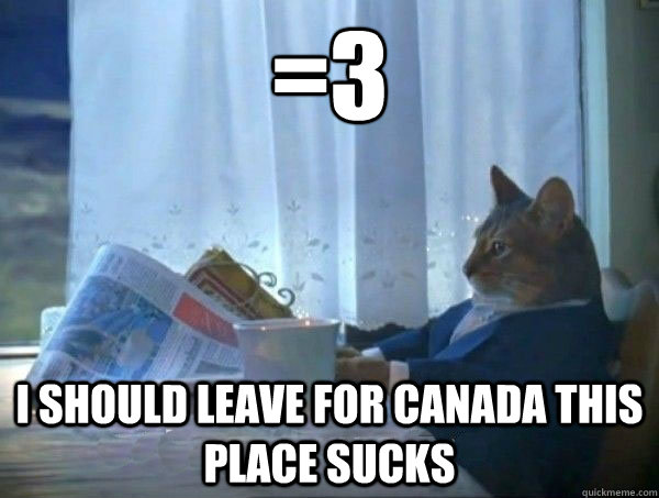 =3 I should leave for Canada this place sucks  morning realization newspaper cat meme