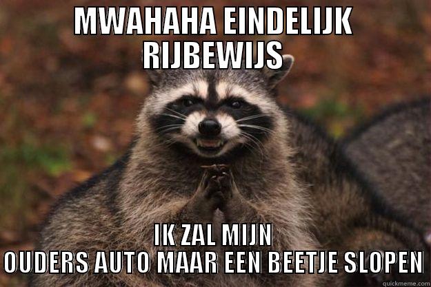 MWAHAHA EINDELIJK RIJBEWIJS IK ZAL MIJN OUDERS AUTO MAAR EEN BEETJE SLOPEN Evil Plotting Raccoon