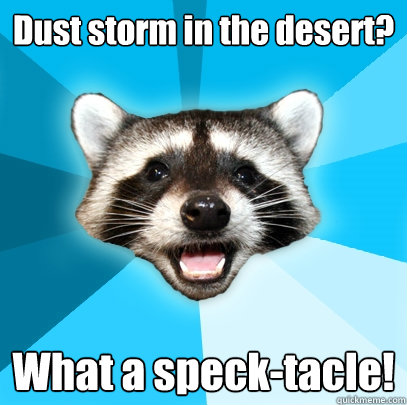 Dust storm in the desert? What a speck-tacle! - Dust storm in the desert? What a speck-tacle!  Lame Pun Coon