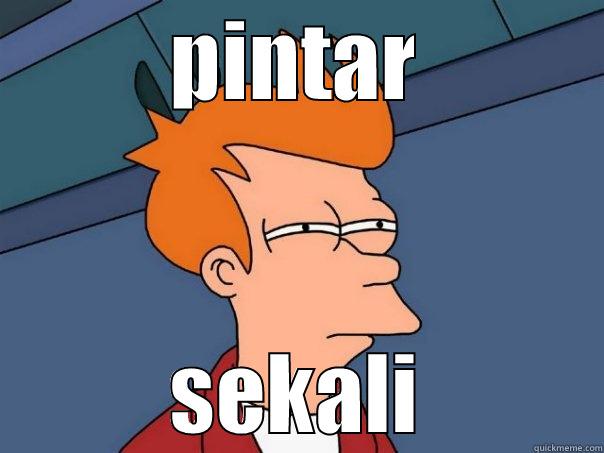 PINTAR SEKALI Futurama Fry