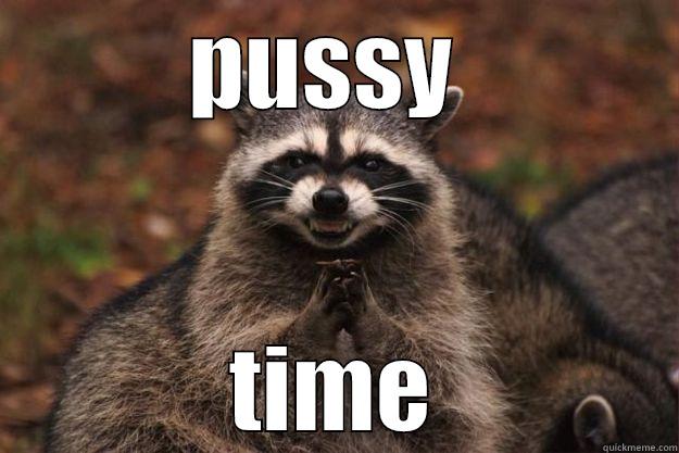 PUSSY  TIME Evil Plotting Raccoon