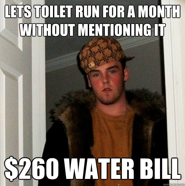 Lets toilet run for a month without mentioning it $260 water bill  Scumbag Steve