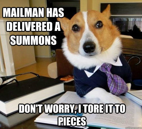 Mailman has delivered a summons don't worry, I tore it to pieces  Lawyer Dog