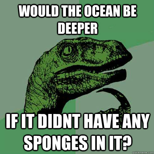 Would the ocean be deeper if it didnt have any sponges in it? - Would the ocean be deeper if it didnt have any sponges in it?  Philosoraptor