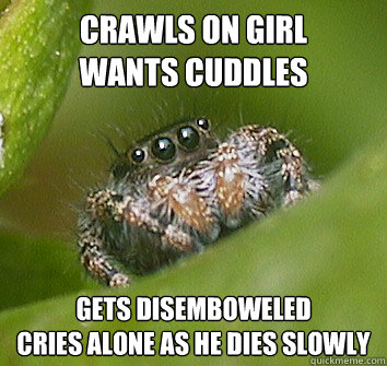 crawls on girl
wants cuddles gets disemboweled
cries alone as he dies slowly  Misunderstood Spider