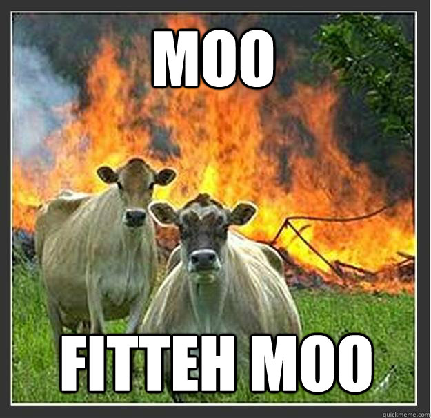 MOO Fitteh Moo   Evil cows