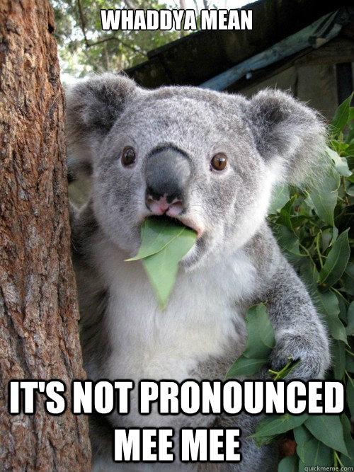 WHADDYA MEAN IT'S NOT PRONOUNCED MEE MEE - WHADDYA MEAN IT'S NOT PRONOUNCED MEE MEE  koala bear