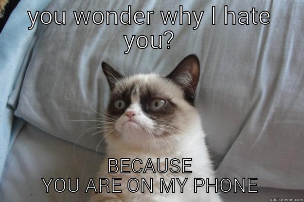 YOU WONDER WHY I HATE YOU? BECAUSE YOU ARE ON MY PHONE Grumpy Cat