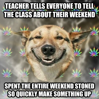 teacher tells everyone to tell the class about their weekend spent the entire weekend stoned so quickly make something up  Stoner Dog