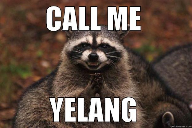 CALL ME YELANG Evil Plotting Raccoon