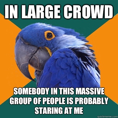 In large crowd Somebody in this massive group of people is probably staring at me  Paranoid Parrot