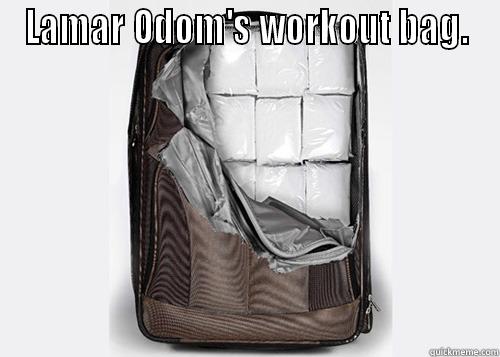 LAMAR ODOM'S WORKOUT BAG.  Misc