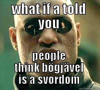 WHAT IF A TOLD YOU PEOPLE THINK BÖGJÄVEL IS A SVORDOM Matrix Morpheus