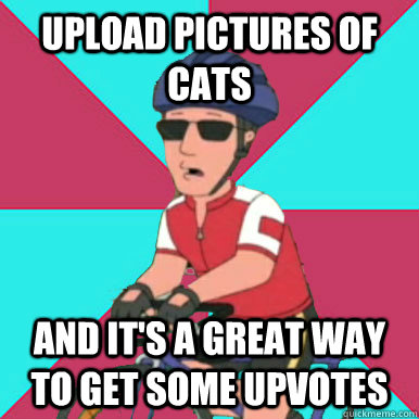 Upload pictures of cats and it's a great way to get some upvotes  Great way