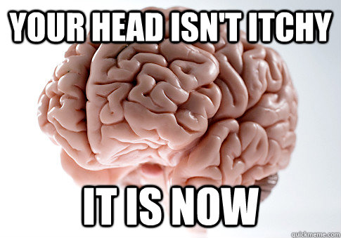 Your head isn't itchy it is now  - Your head isn't itchy it is now   Scumbag Brain