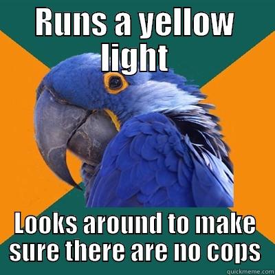 running a yellow light - RUNS A YELLOW LIGHT LOOKS AROUND TO MAKE SURE THERE ARE NO COPS Paranoid Parrot