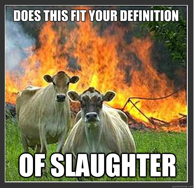 Does this fit your definition Of slaughter   Evil cows