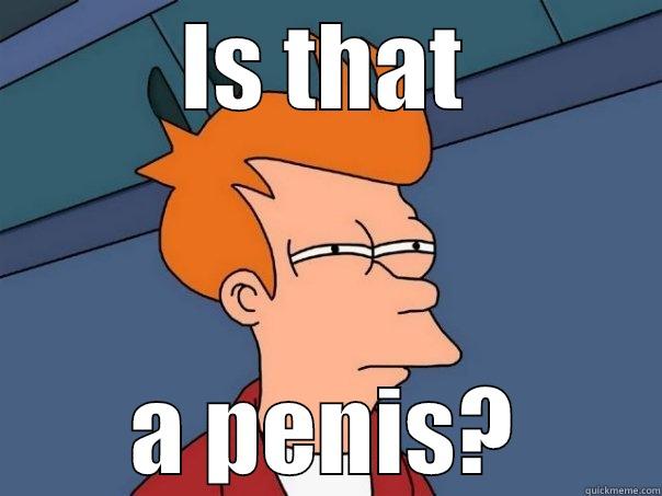 IS THAT A PENIS? Futurama Fry