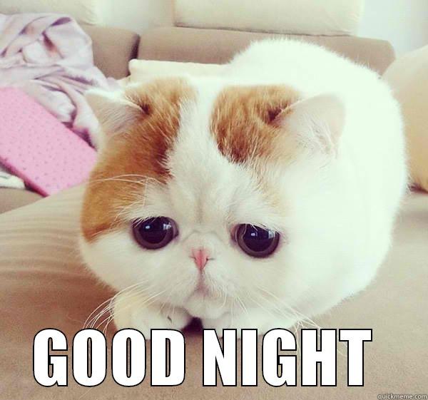 Cutie Nightie Cat -  GOOD NIGHT  Misc