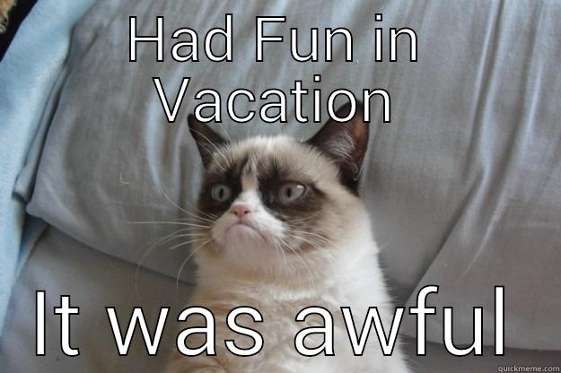 Hate Fun - HAD FUN IN VACATION IT WAS AWFUL Grumpy Cat