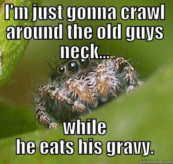 I'M JUST GONNA CRAWL AROUND THE OLD GUYS NECK... WHILE HE EATS HIS GRAVY. Misunderstood Spider