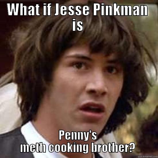 WHAT IF JESSE PINKMAN IS PENNY'S METH COOKING BROTHER? conspiracy keanu