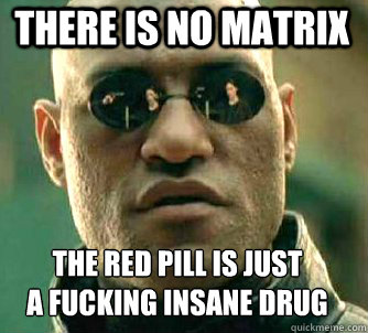 there is no matrix the red pill is just 
a fucking insane drug  Matrix Morpheus