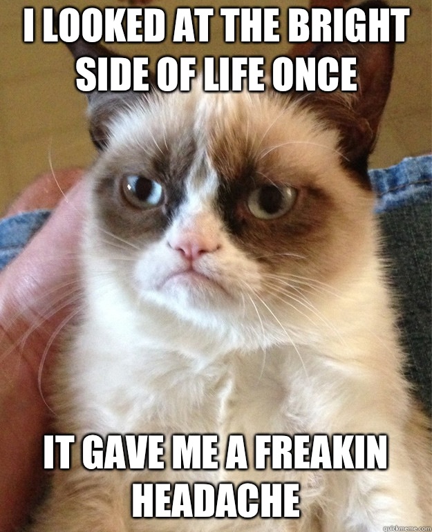 I looked at the bright side of life once it gave me a freakin headache   Grumpy Cat